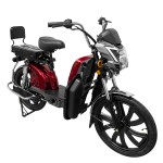 Manufacturers direct sales of cargo electric bicycle Bailing king with front pocket split folding rack electric vehicles